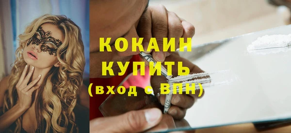 кокс Богородицк
