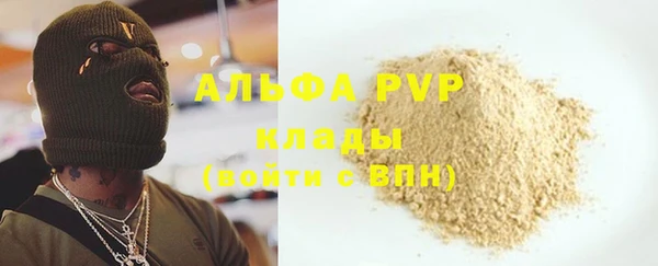 стафф Богданович
