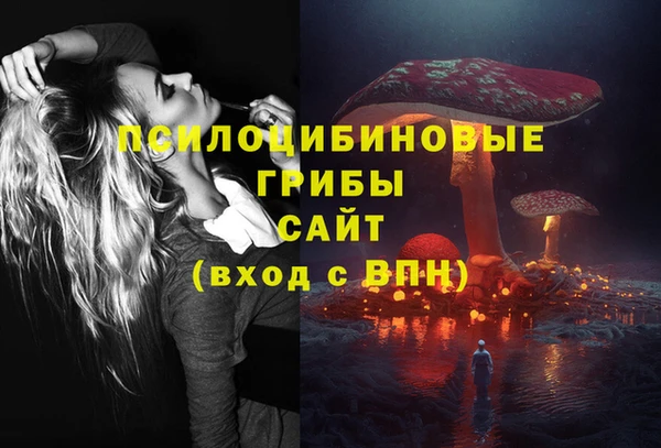 хмурый Осинники