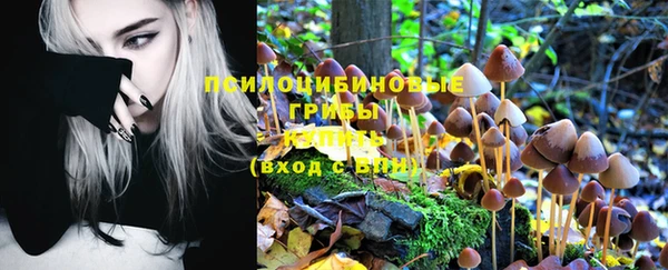 стафф Богданович