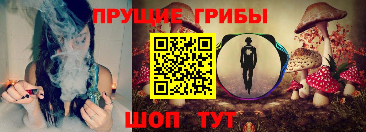 Бор  Галлюциногенные грибы прущие грибы  как найти закладки  Вход с VPN 