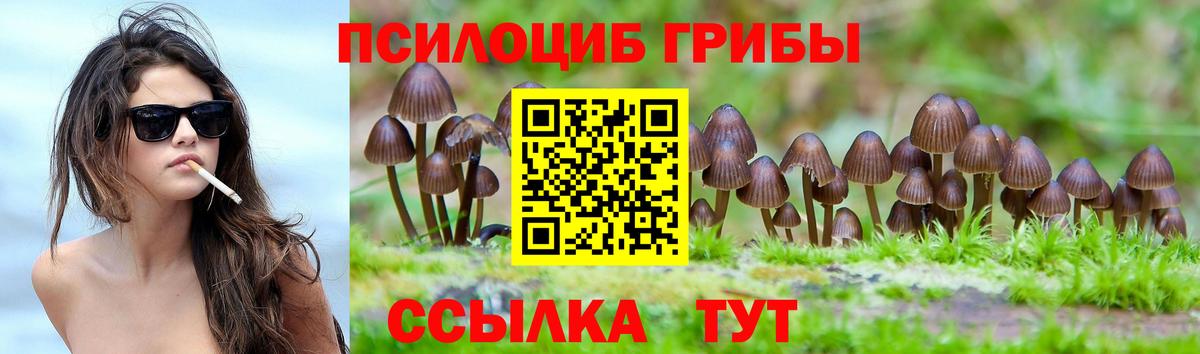 Псилоцибиновые грибы ЛСД  Бор  купить наркотик  Псилоцибиновые грибы Cubensis 